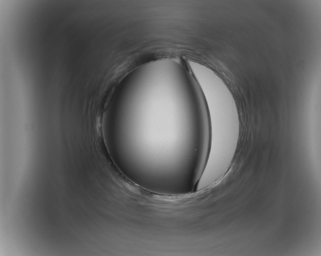 X0000114060045200910131154