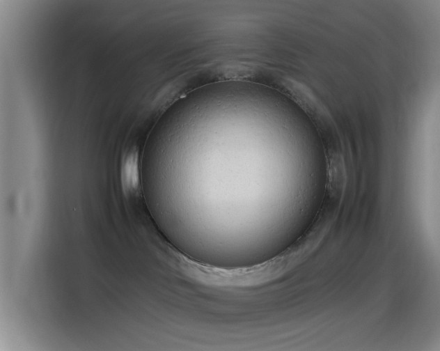 X0000114060046200910131154