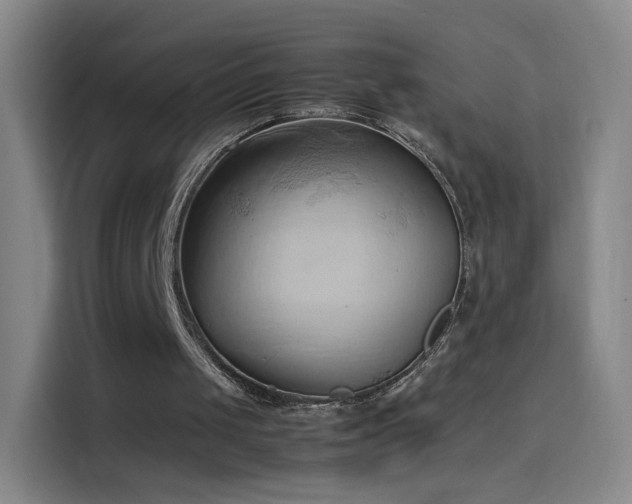 X0000114060049200910131153