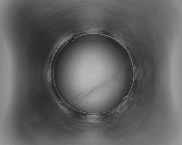 X0000114060050200910131153