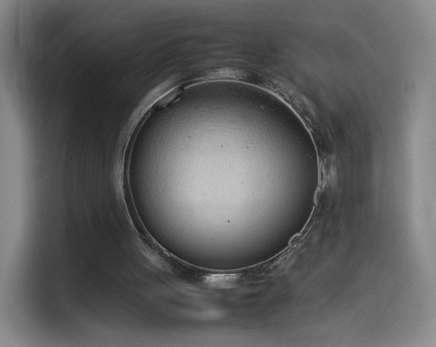 X0000114060051200910131153