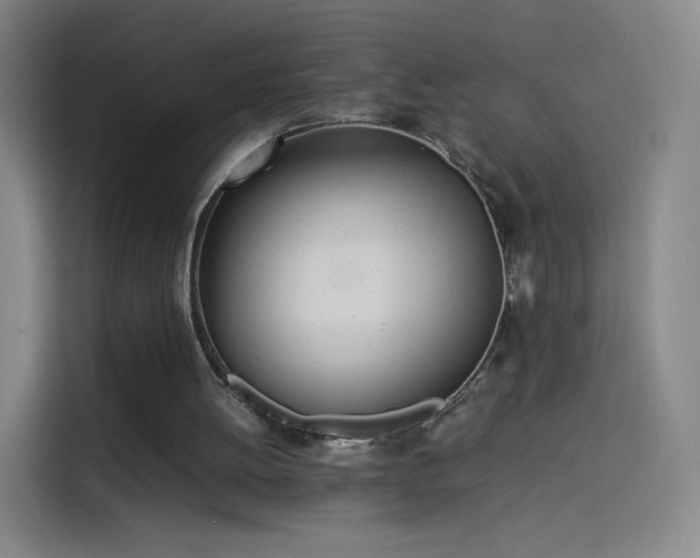 X0000114060052200910131153