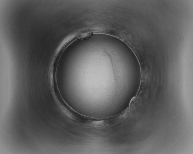 X0000114060054200910131154