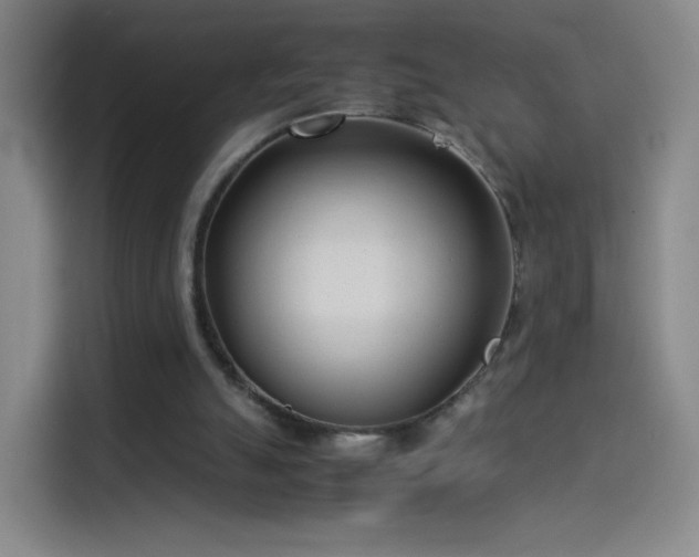 X0000114060055200910131154