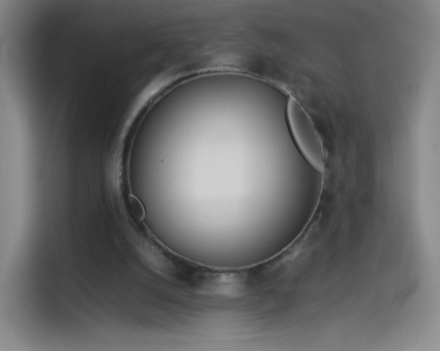 X0000114060056200910131154