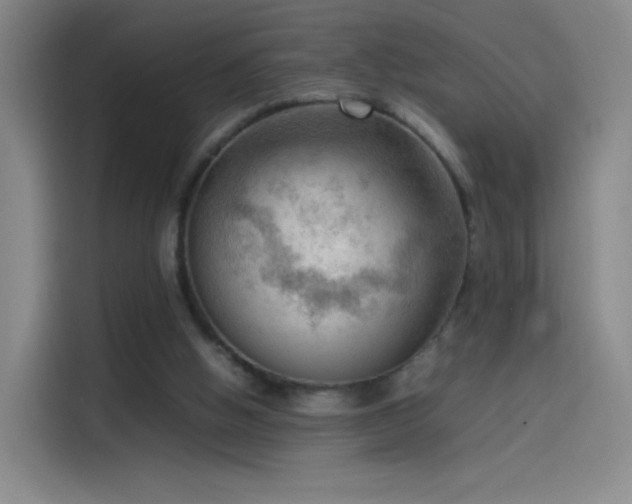 X0000114060058200910131154