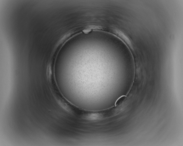 X0000114060059200910131154