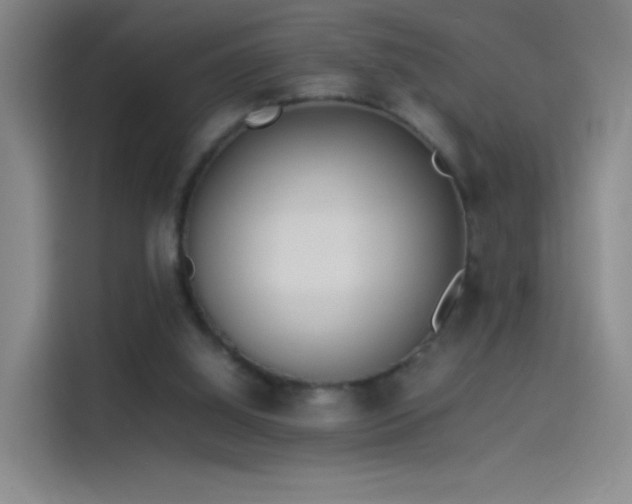 X0000114060060200910131154