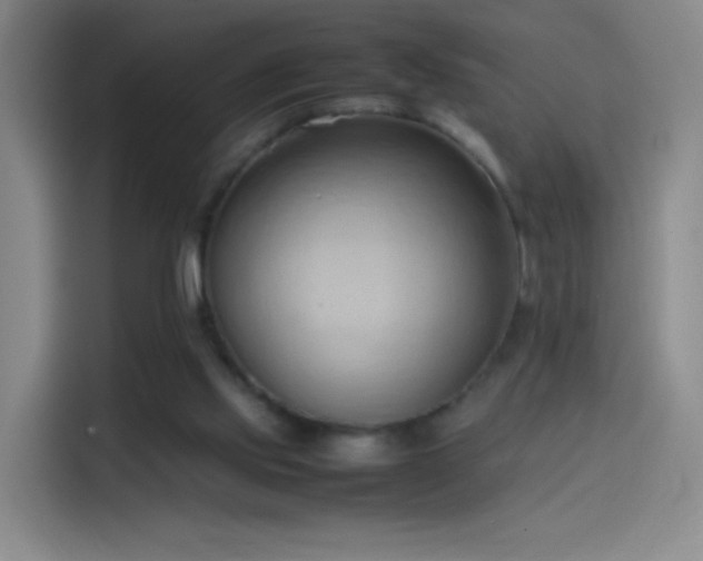 X0000114060061200910131154