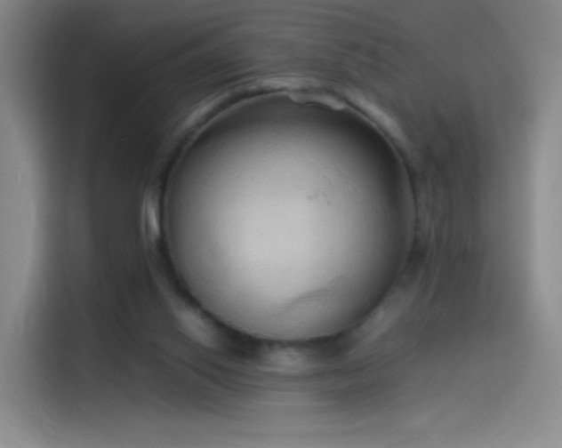 X0000114060062200910131154