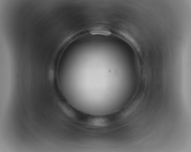 X0000114060063200910131154