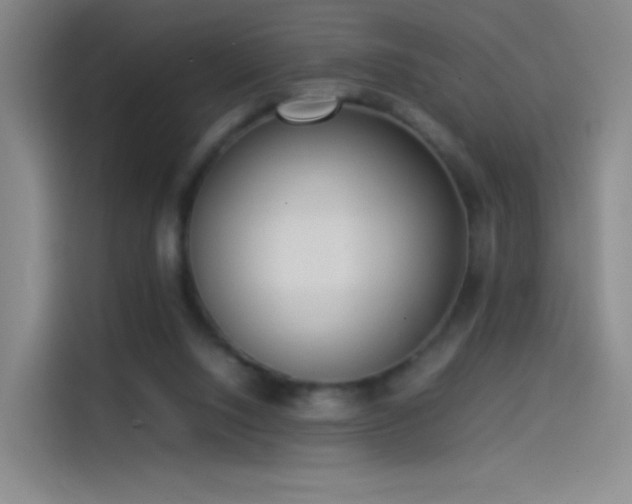 X0000114060064200910131154