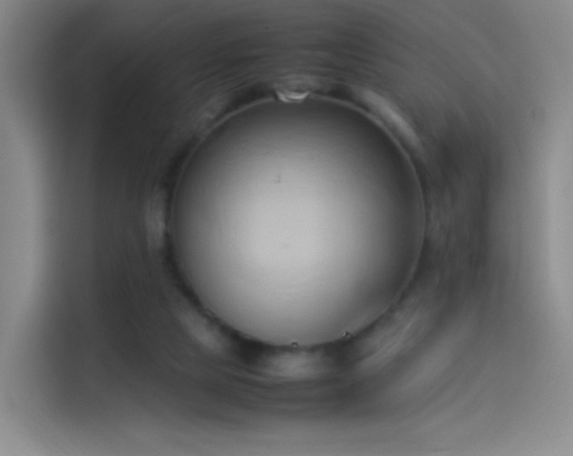 X0000114060065200910131154