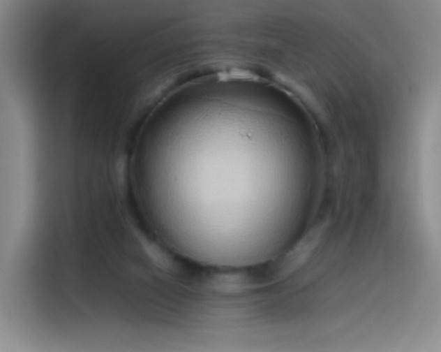 X0000114060066200910131154