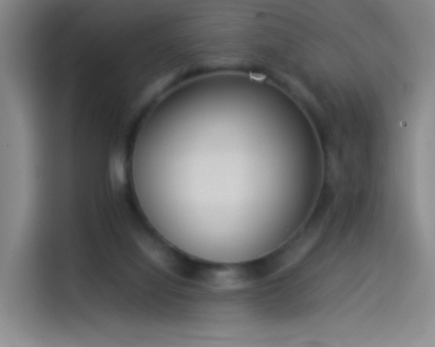 X0000114060068200910131154