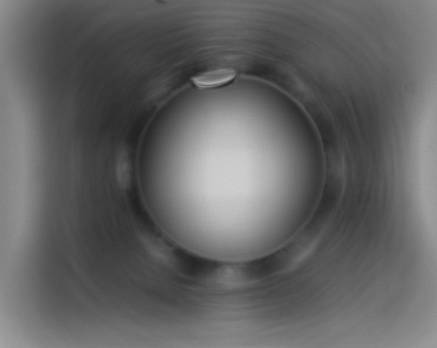 X0000114060080200910131154