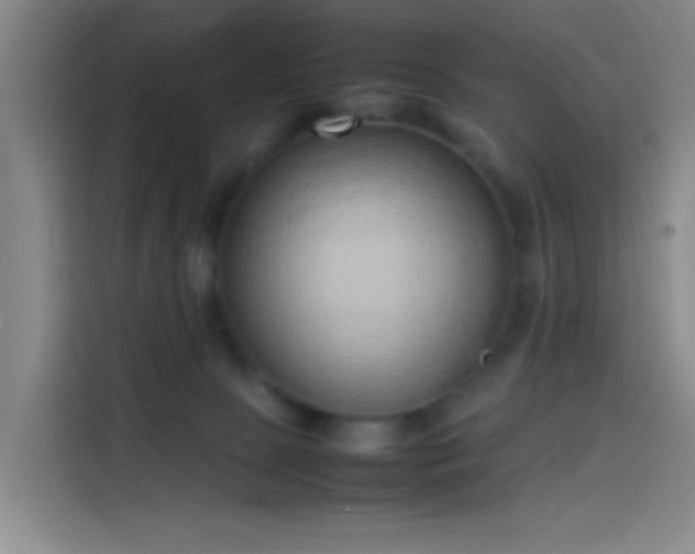 X0000114060081200910131154