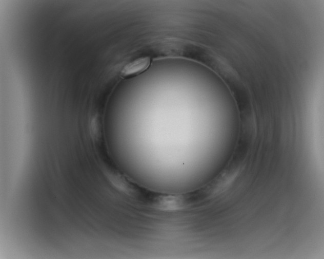 X0000114060088200910131154