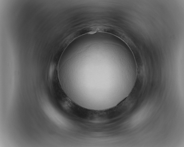 X0000114060095200910131154