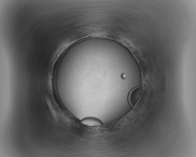 X0000114060098200910131153