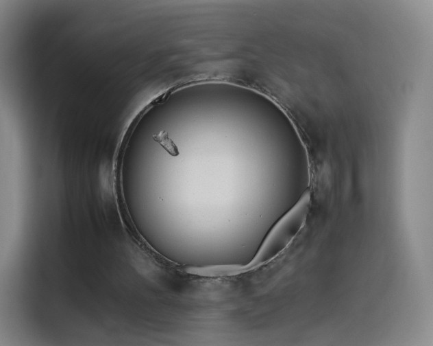 X0000114060100200910131153