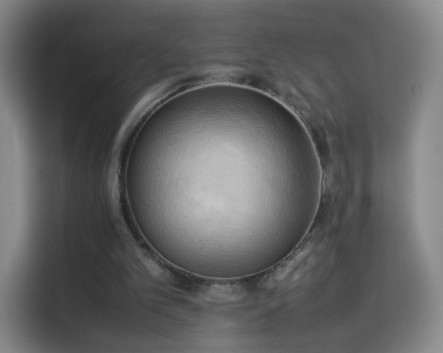 X0000114060101200910131153