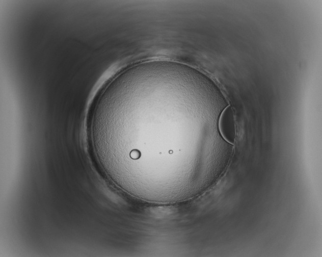 X0000114060102200910131153