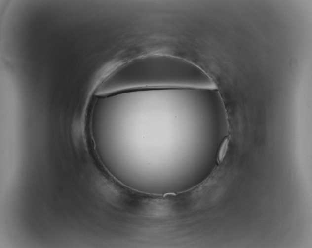 X0000114060104200910131153