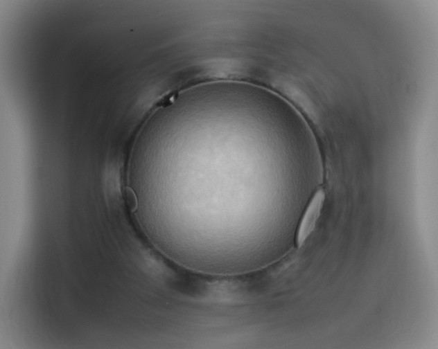 X0000114060105200910131153