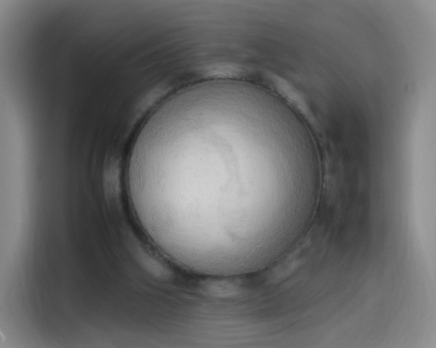 X0000114060106200910131153