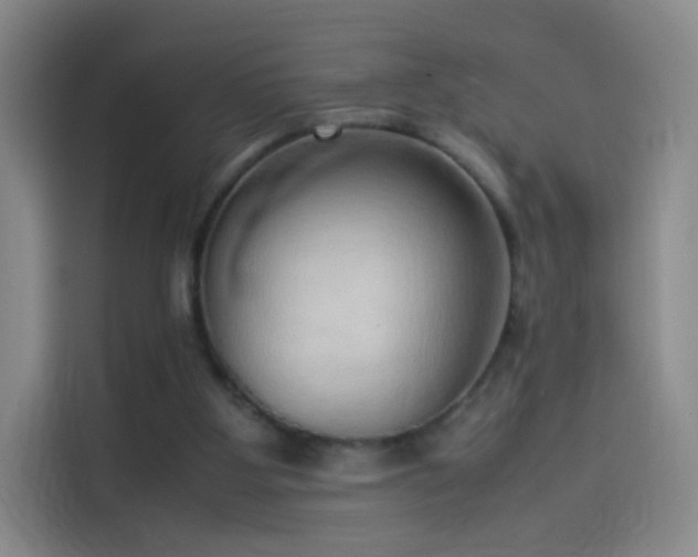 X0000114060107200910131153