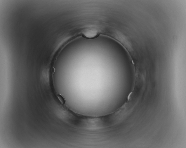 X0000114060108200910131153