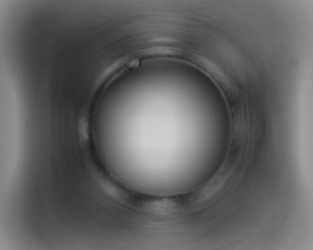 X0000114060112200910131153