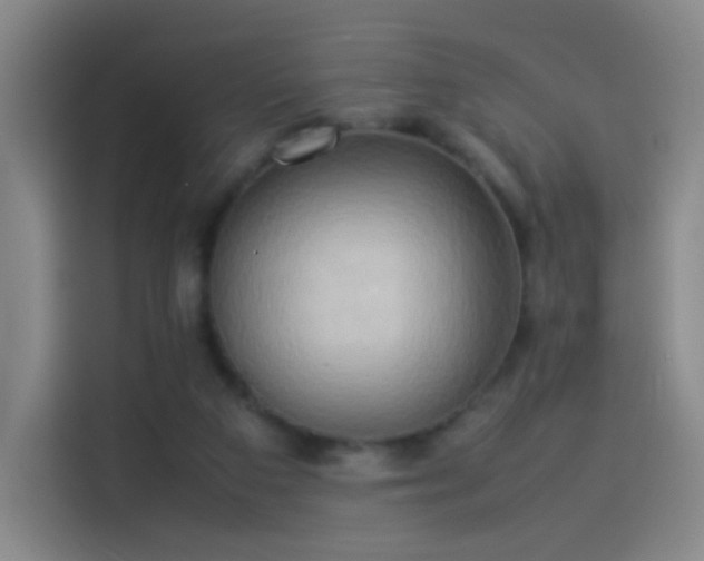 X0000114060113200910131153