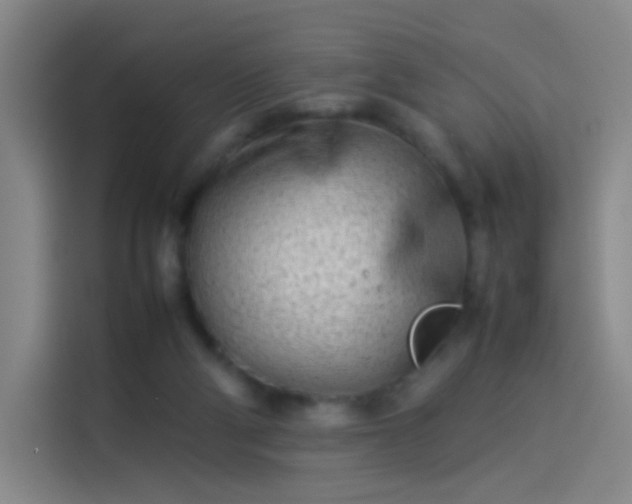 X0000114060114200910131153