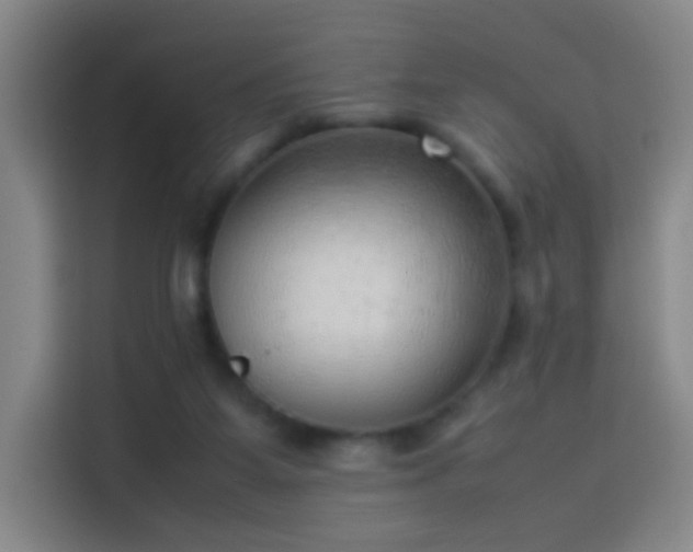 X0000114060115200910131153