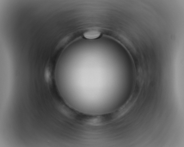 X0000114060116200910131153