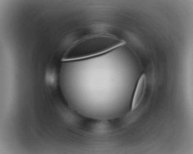 X0000114060124200910131153