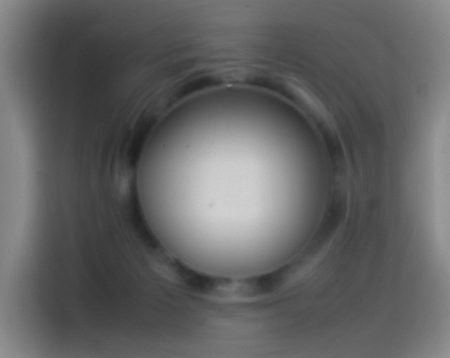 X0000114060125200910131153