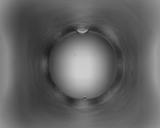 X0000114060127200910131153