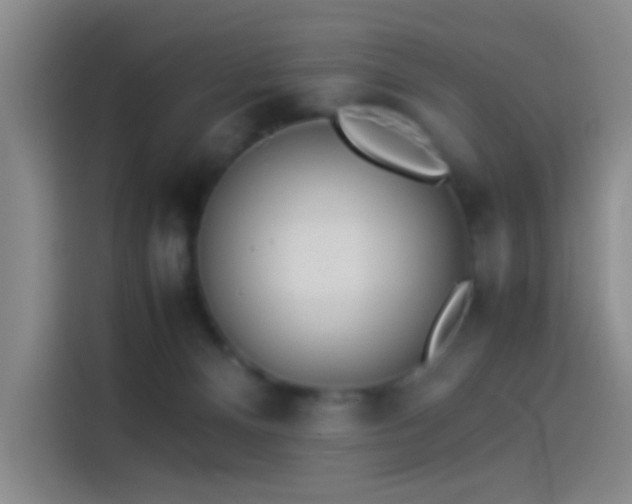 X0000114060128200910131153