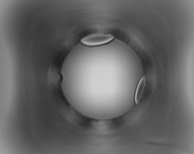 X0000114060129200910131153