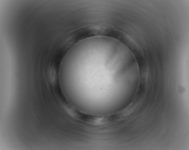 X0000114060130200910131153