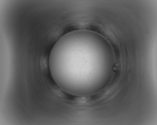 X0000114060131200910131153