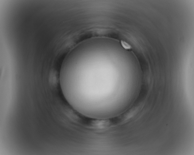 X0000114060135200910131153