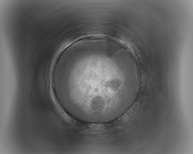 X0000114060145200910131152