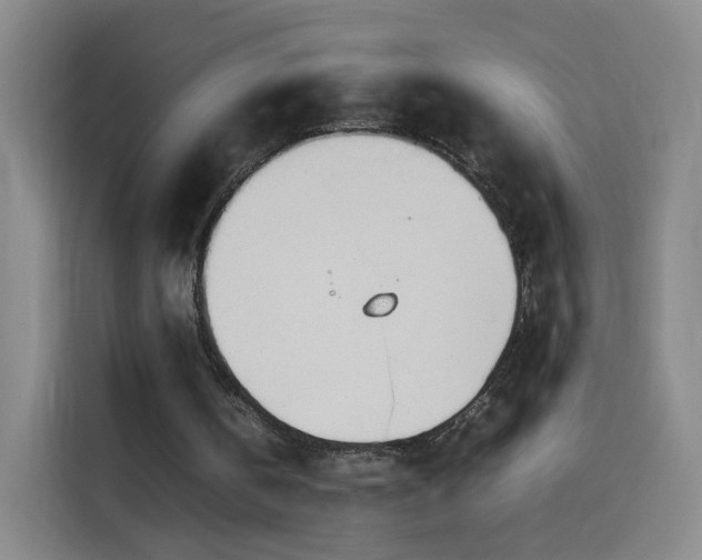 X0000114060146200910131152