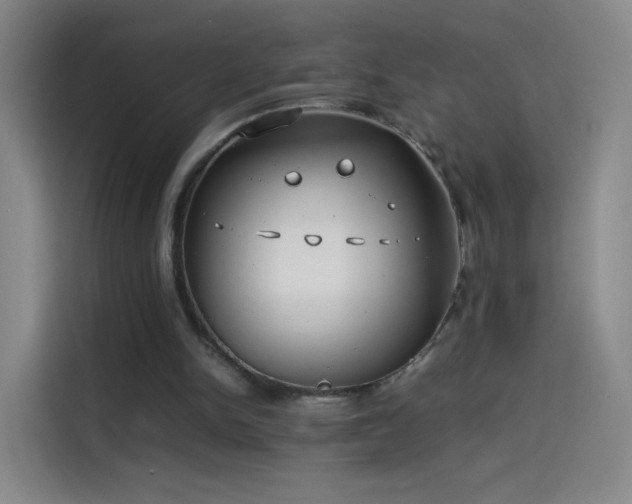 X0000114060150200910131152