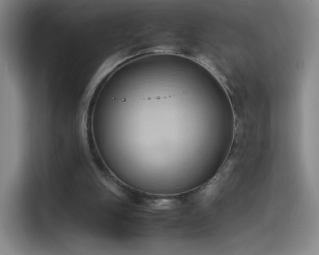 X0000114060151200910131152