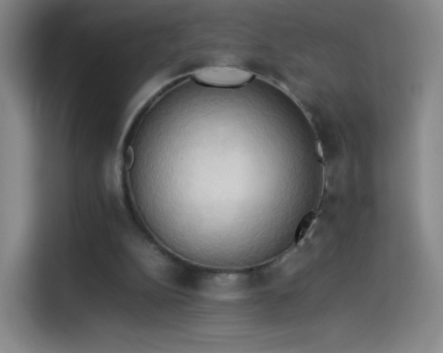 X0000114060152200910131152